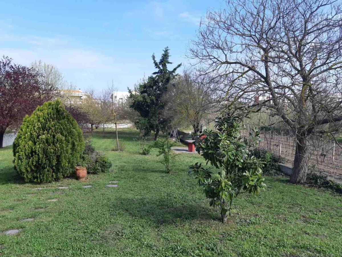 Apartmán Sun@home Néoi Epivátai
